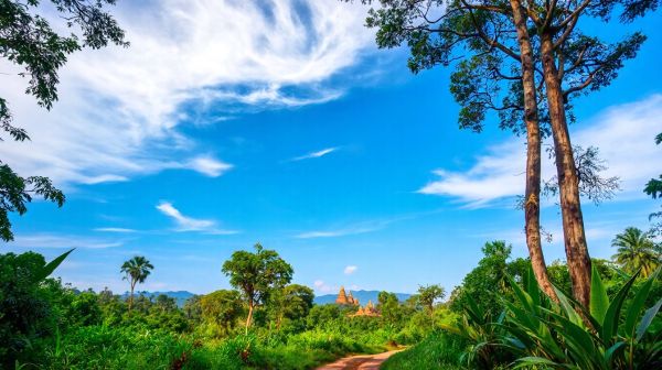 Top 10 retiros de meditación en Tailandia para una desconexión espiritual
